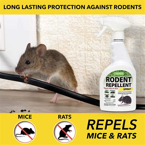 Repel Mice with Household Items: Creative Ways to Keep Rodents Away